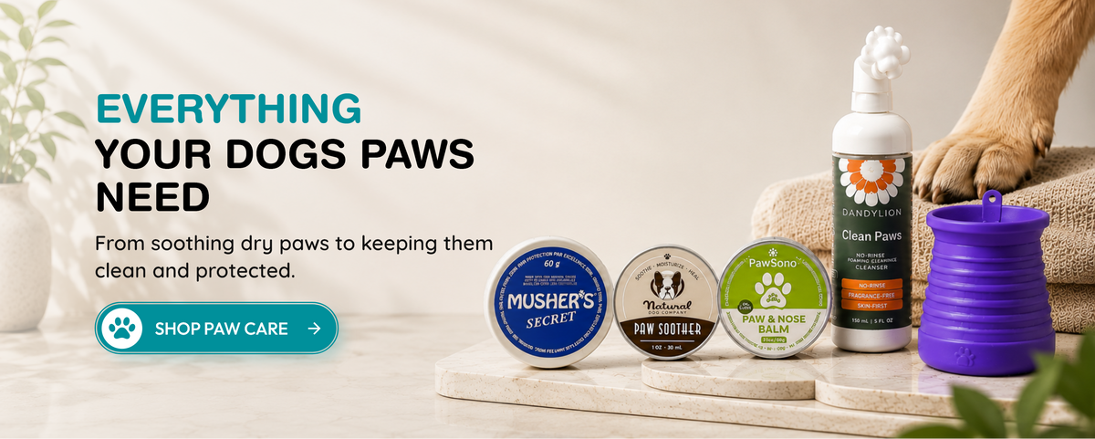Shop banner
